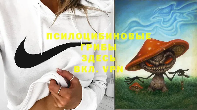 kraken   Покровск  Псилоцибиновые грибы GOLDEN TEACHER 